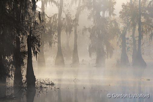 Lake Martin In Foggy Sunrise_26202.jpg - Photographed in the Cypress Island Preserve near Breaux Bridge, Louisiana, USA.